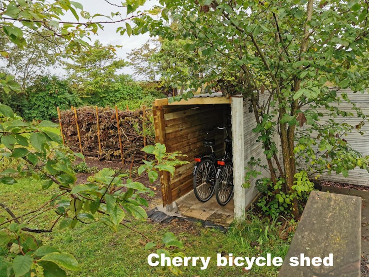 The Cherry Apartment - 'Den Gule Svane' Guest House Near Ronne & Beach Exterior photo